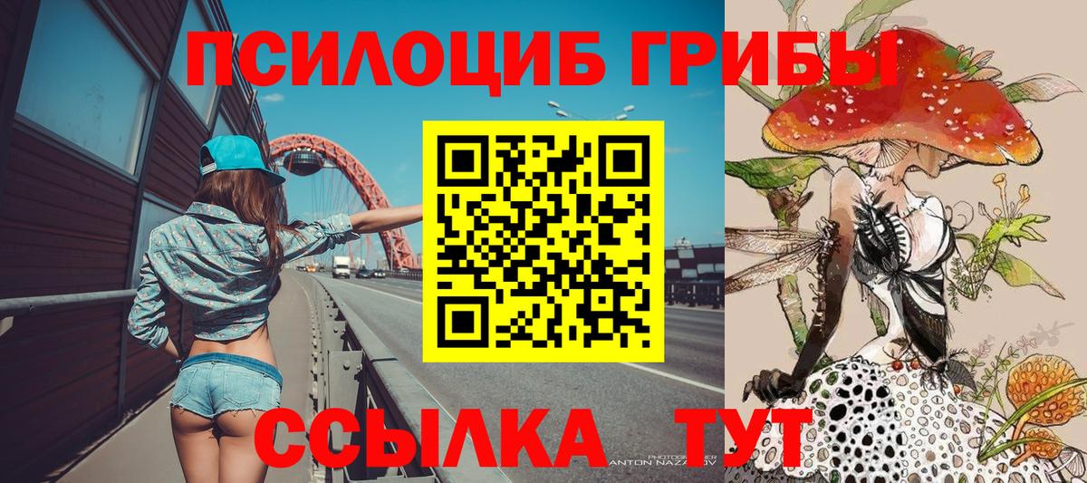 закладки  Галлюциногенные грибы Magic Shrooms  Вход с VPN  Коркино 